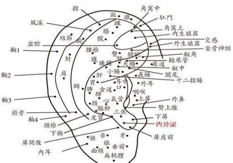 耳朵有痣的女人|耳朵痣的位置与命运图解大全